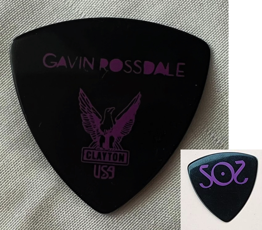 Bush Sea of Sound Gavin Guitar Pick