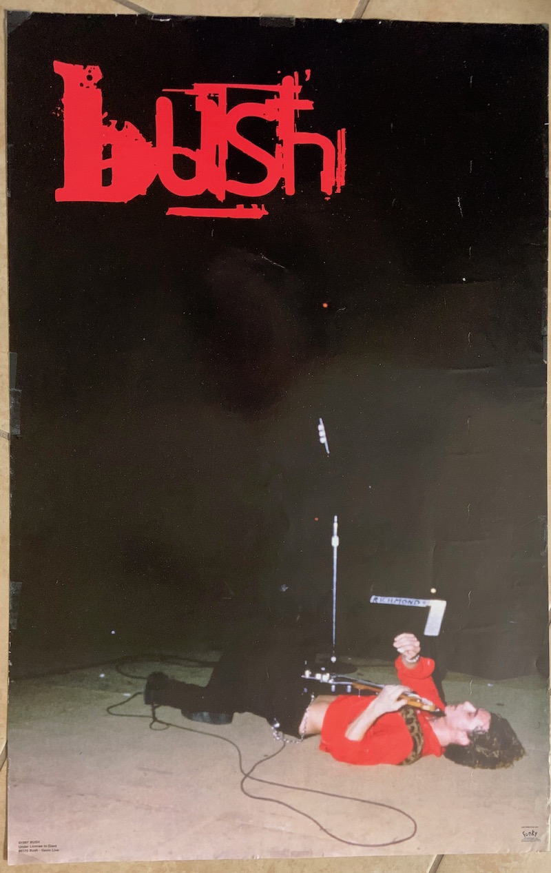 Gavin Rossdale Live 22x34
