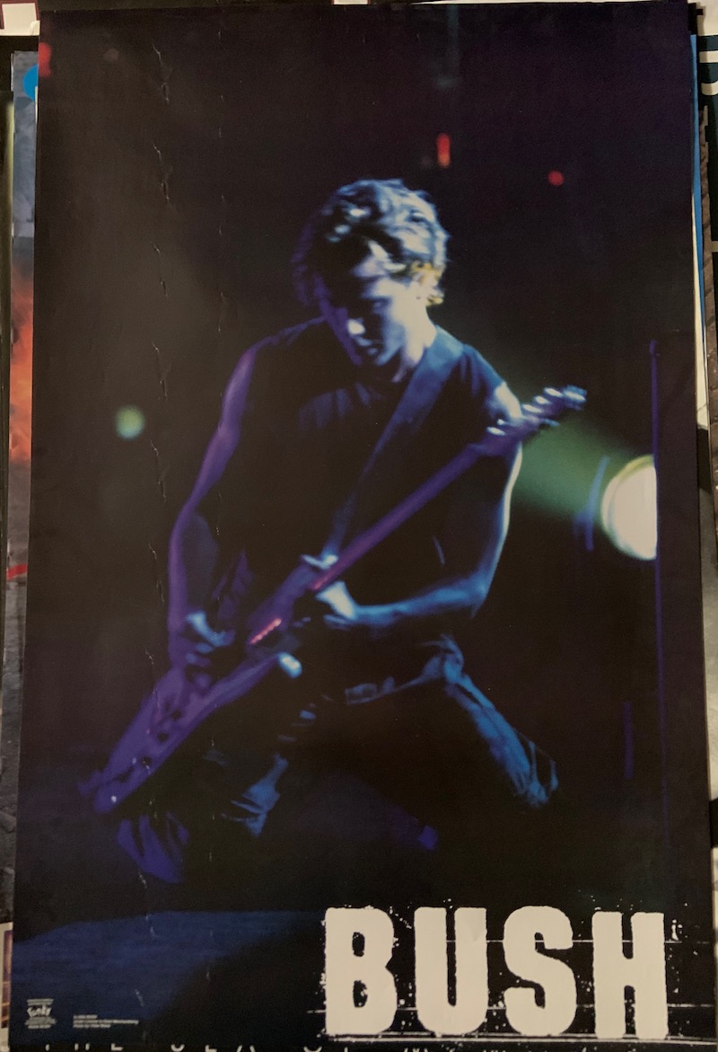 Gavin Rossdale Live 1999/2000