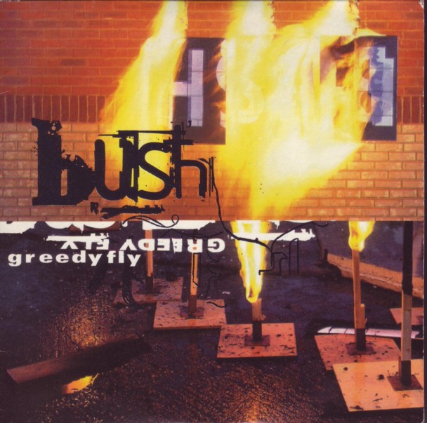 Greedy Fly Cd