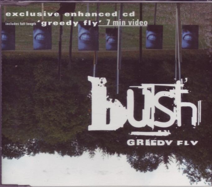 Greedy Fly Cd